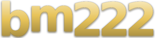 bm222 logo